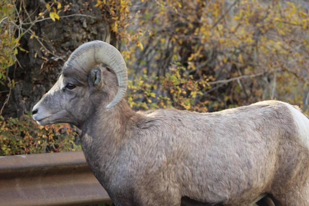 Bison Lodge - Lg Home - 2 Bedrooms - Less Than 5 Miles To Yellowstone North Entrance, Sleeps Up To 8 การ์ดีเนอร์ ภายนอก รูปภาพ